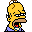 homer3